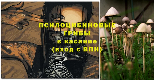 дмт Баксан