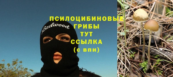 дмт Баксан